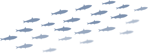 サメを狙え サメが見られる世界のダイビングスポット 海外ダイビングツアー ダイブナビ
